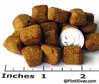 Dog Biscuit Treats